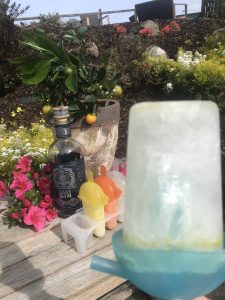 gin and tonic ice lolly